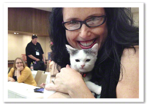 Kitten Envy with Angie R Olson.jpg